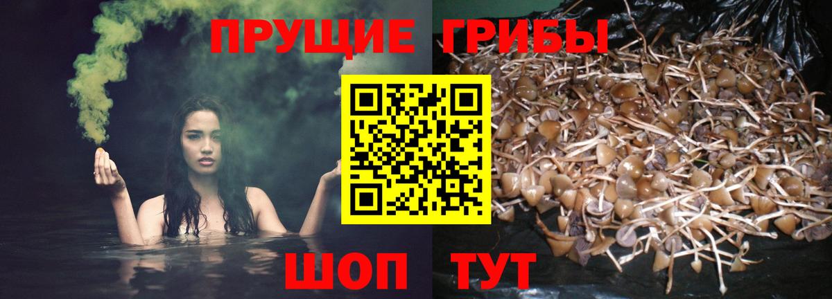 Псилоцибиновые грибы мухоморы  Вход с VPN  Королёв 